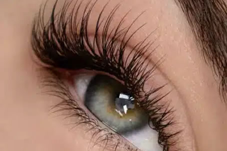 Classic Eyelash Refill